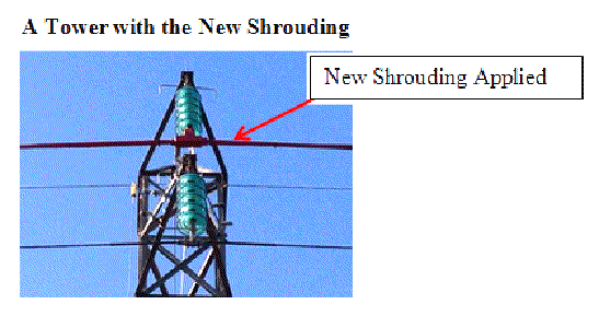 ShroudingBuzzards