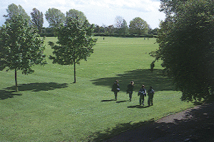 Fields - some sold for housing.